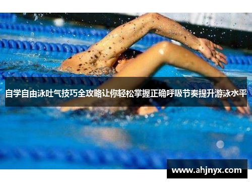 自学自由泳吐气技巧全攻略让你轻松掌握正确呼吸节奏提升游泳水平