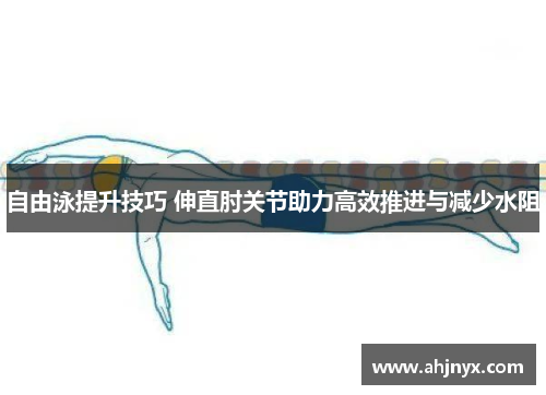 自由泳提升技巧 伸直肘关节助力高效推进与减少水阻
