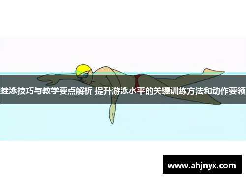 蛙泳技巧与教学要点解析 提升游泳水平的关键训练方法和动作要领