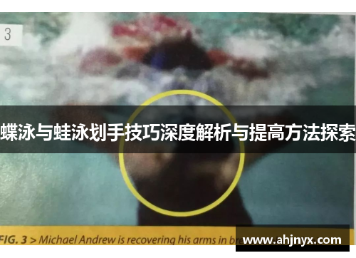 蝶泳与蛙泳划手技巧深度解析与提高方法探索